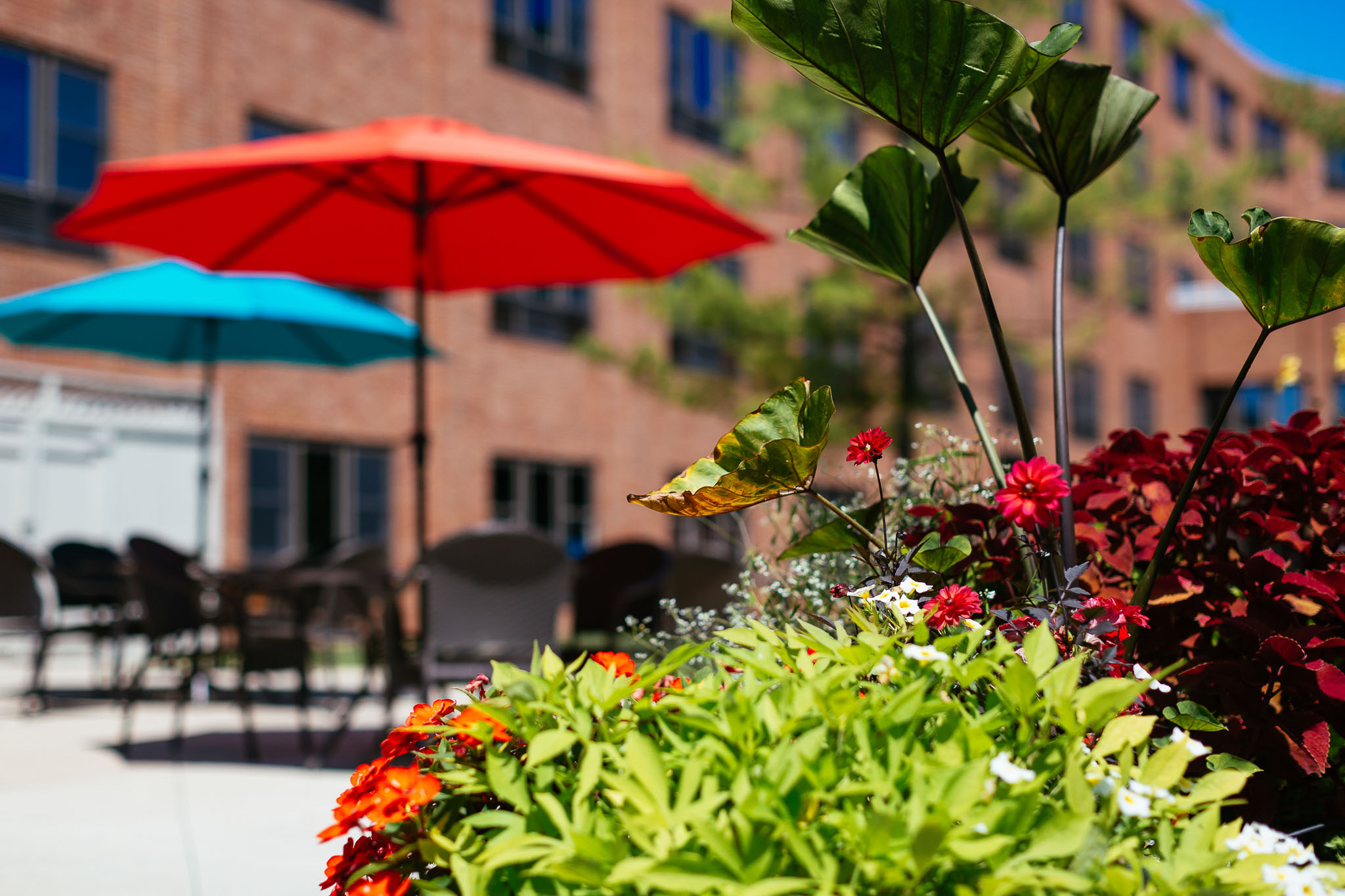 glacier hills exterior