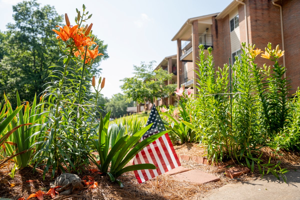 Outdoor garden with exterior building image